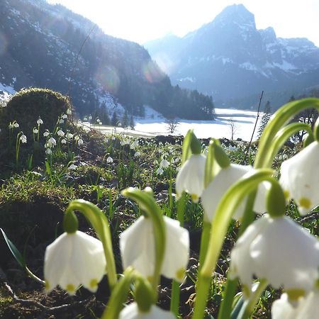Näfels Berghotel Obersee المظهر الخارجي الصورة