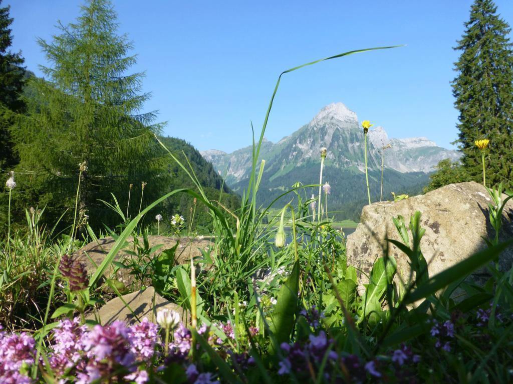 Näfels Berghotel Obersee المظهر الخارجي الصورة