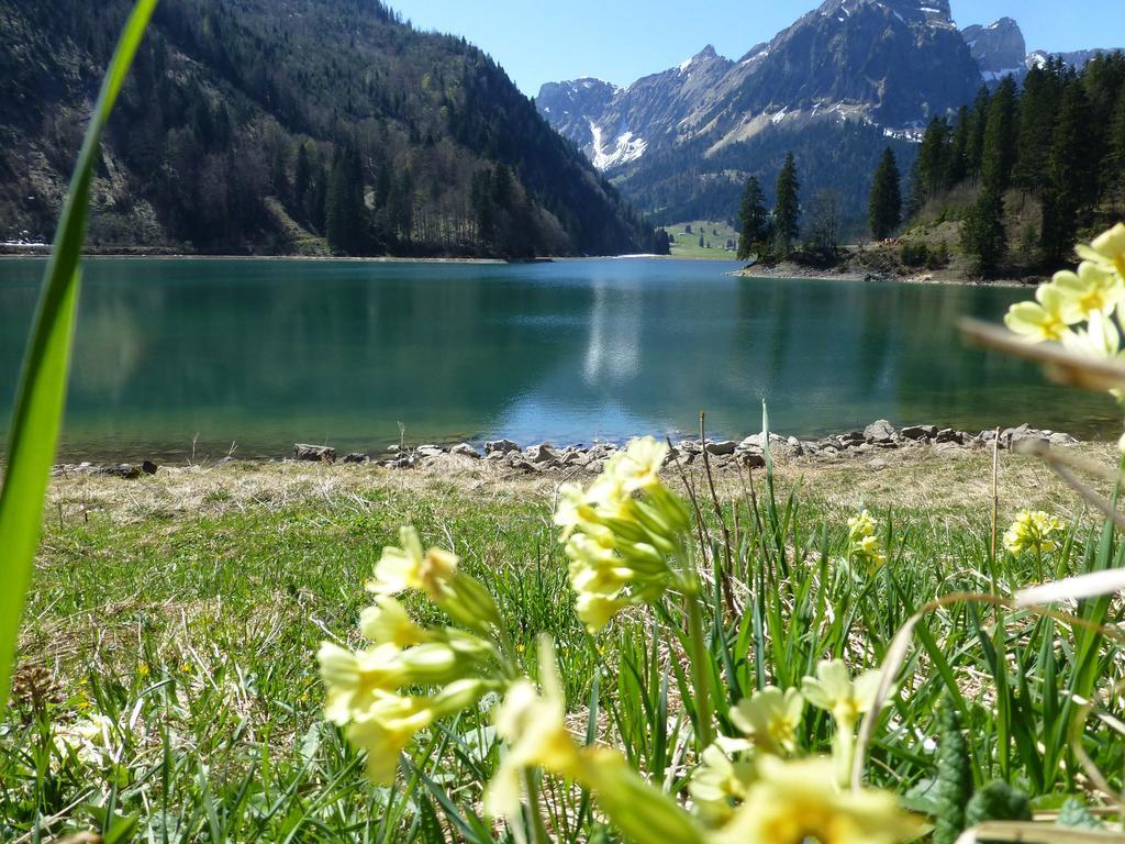 Näfels Berghotel Obersee المظهر الخارجي الصورة