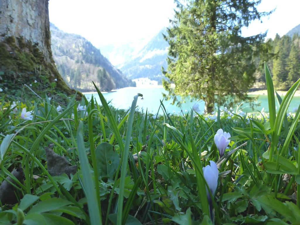 Näfels Berghotel Obersee المظهر الخارجي الصورة