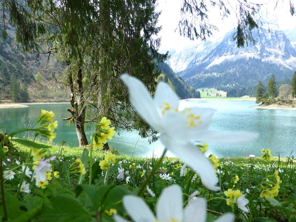 Näfels Berghotel Obersee المظهر الخارجي الصورة