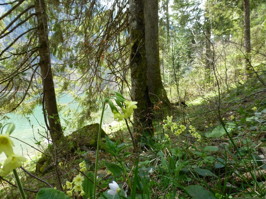 Näfels Berghotel Obersee المظهر الخارجي الصورة