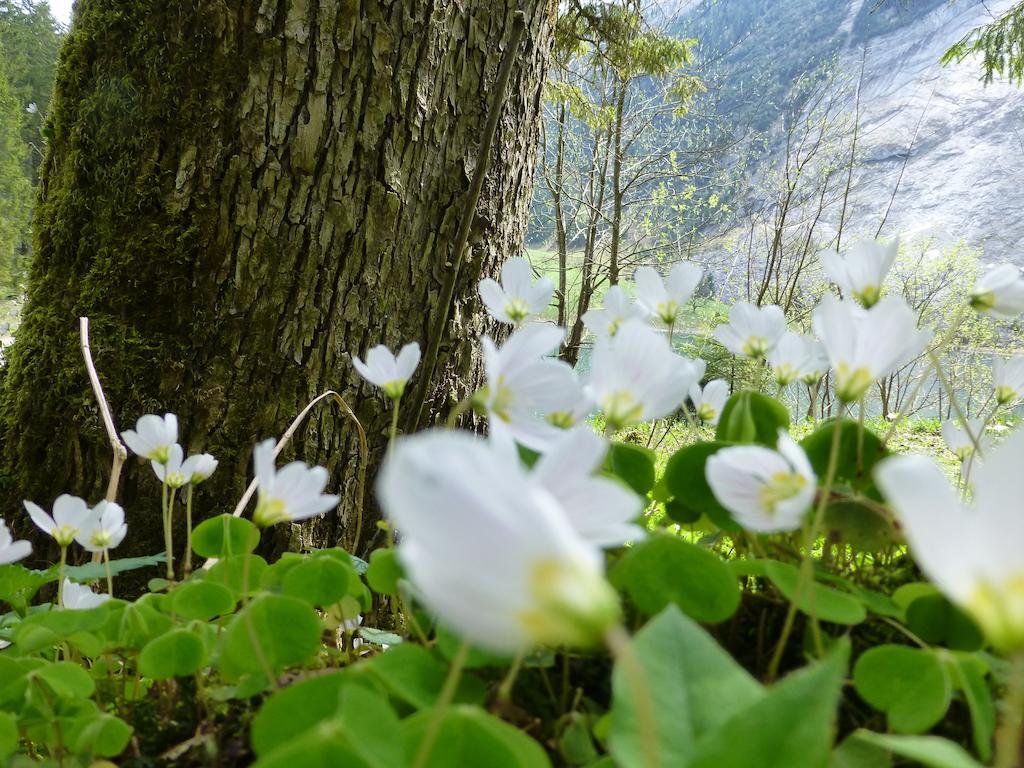 Näfels Berghotel Obersee المظهر الخارجي الصورة