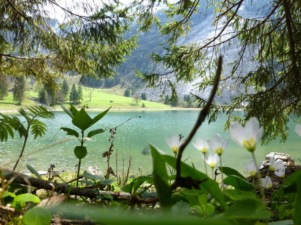 Näfels Berghotel Obersee المظهر الخارجي الصورة