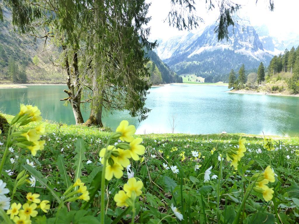 Näfels Berghotel Obersee المظهر الخارجي الصورة