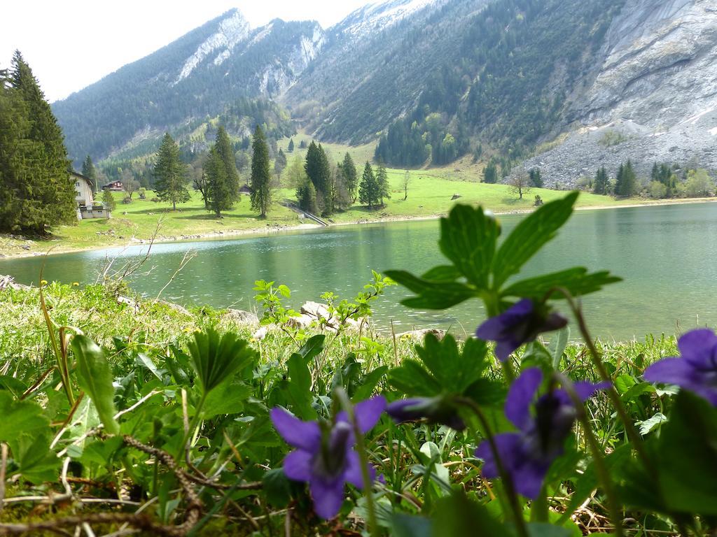 Näfels Berghotel Obersee المظهر الخارجي الصورة