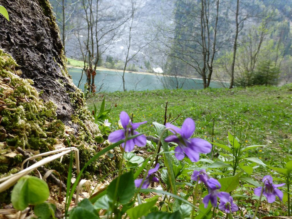 Näfels Berghotel Obersee المظهر الخارجي الصورة