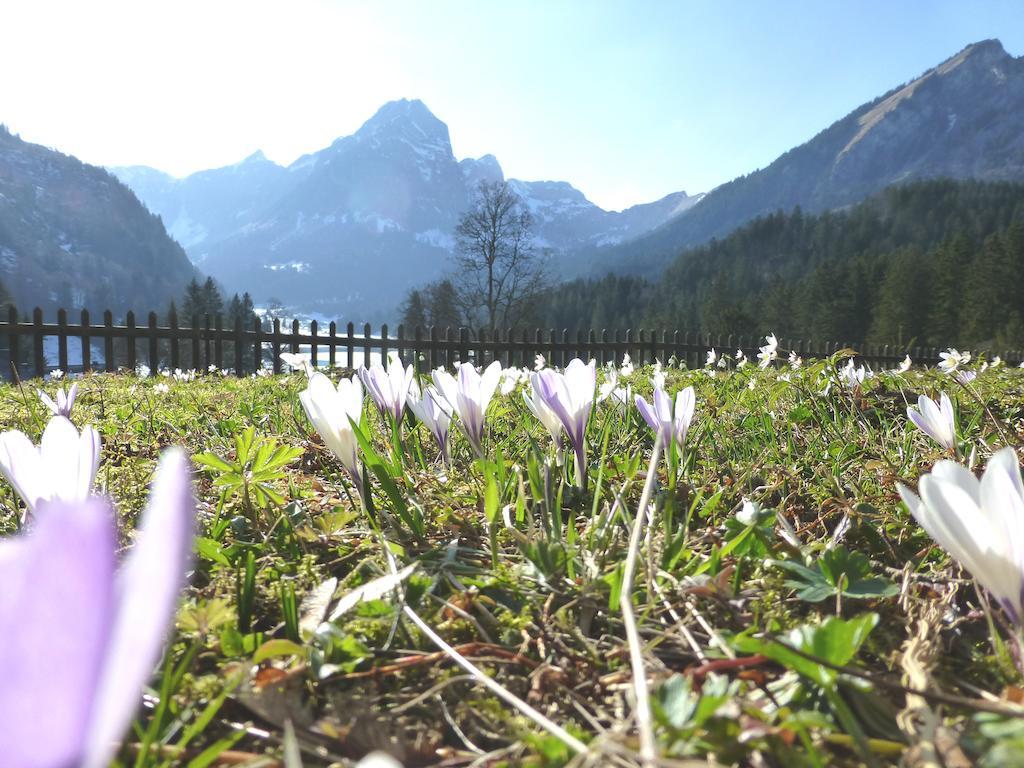 Näfels Berghotel Obersee المظهر الخارجي الصورة