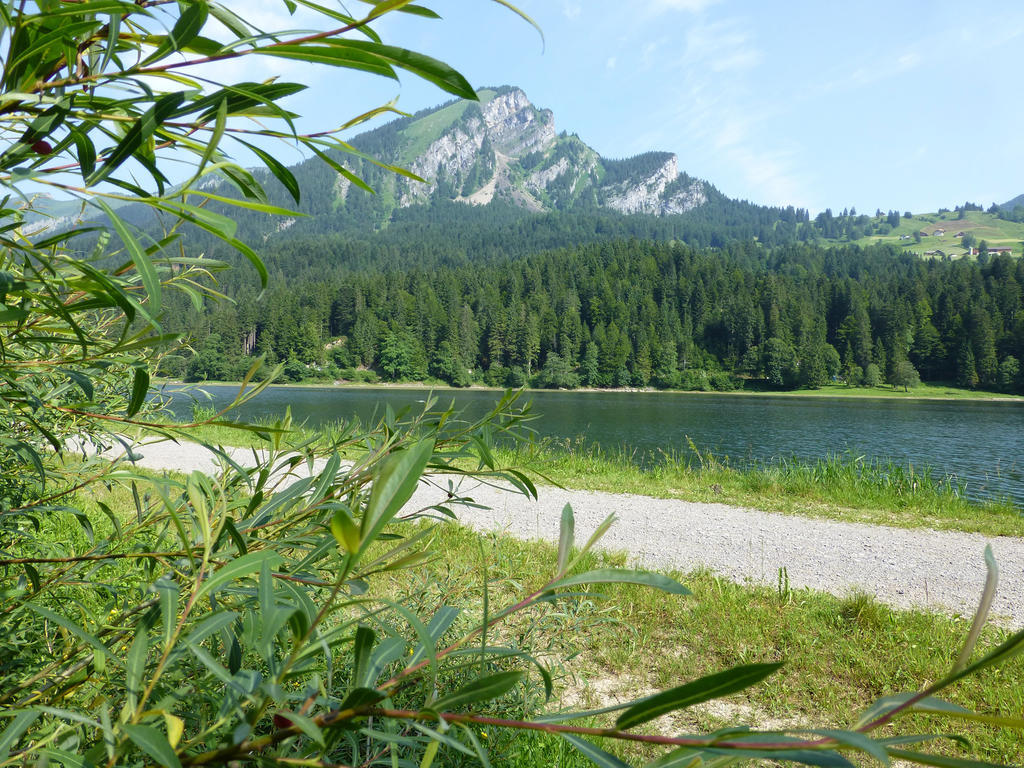 Näfels Berghotel Obersee المظهر الخارجي الصورة