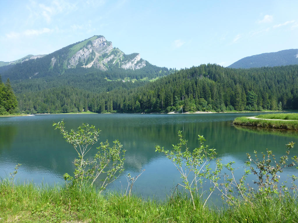 Näfels Berghotel Obersee المظهر الخارجي الصورة