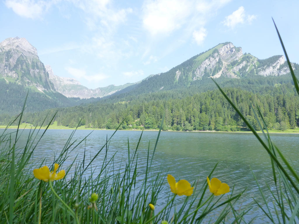 Näfels Berghotel Obersee المظهر الخارجي الصورة