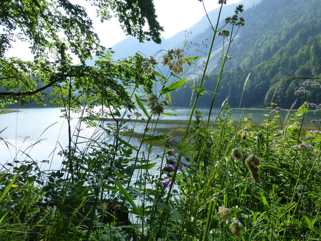 Näfels Berghotel Obersee المظهر الخارجي الصورة