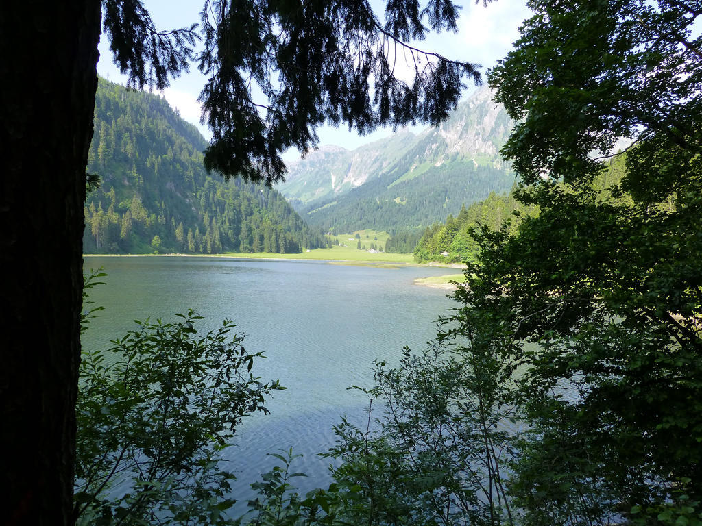 Näfels Berghotel Obersee المظهر الخارجي الصورة