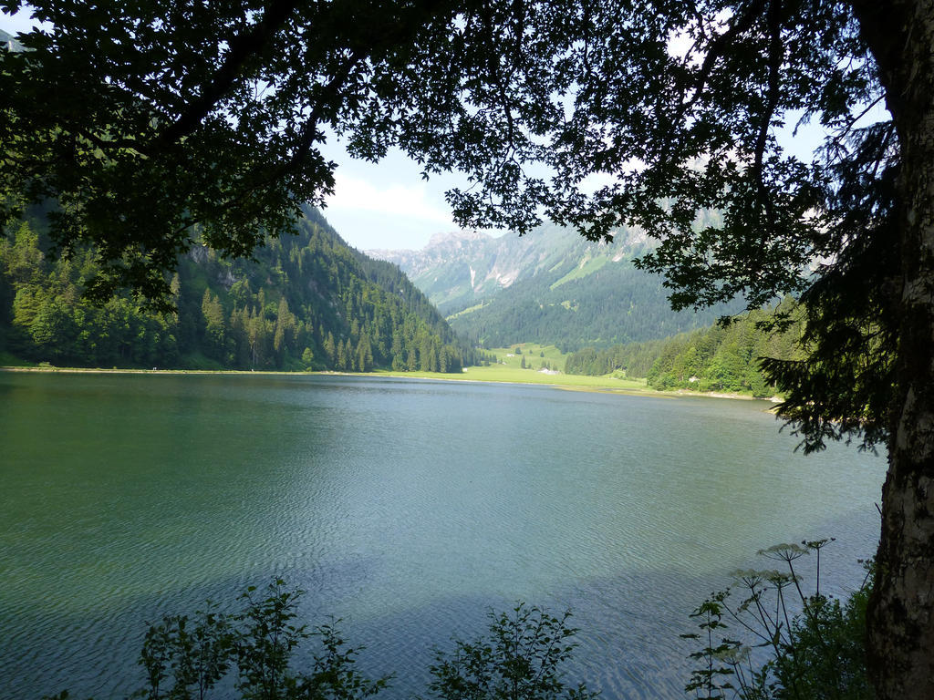 Näfels Berghotel Obersee المظهر الخارجي الصورة