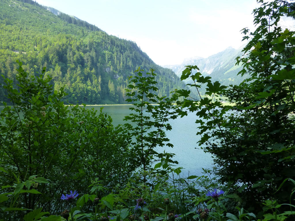 Näfels Berghotel Obersee المظهر الخارجي الصورة